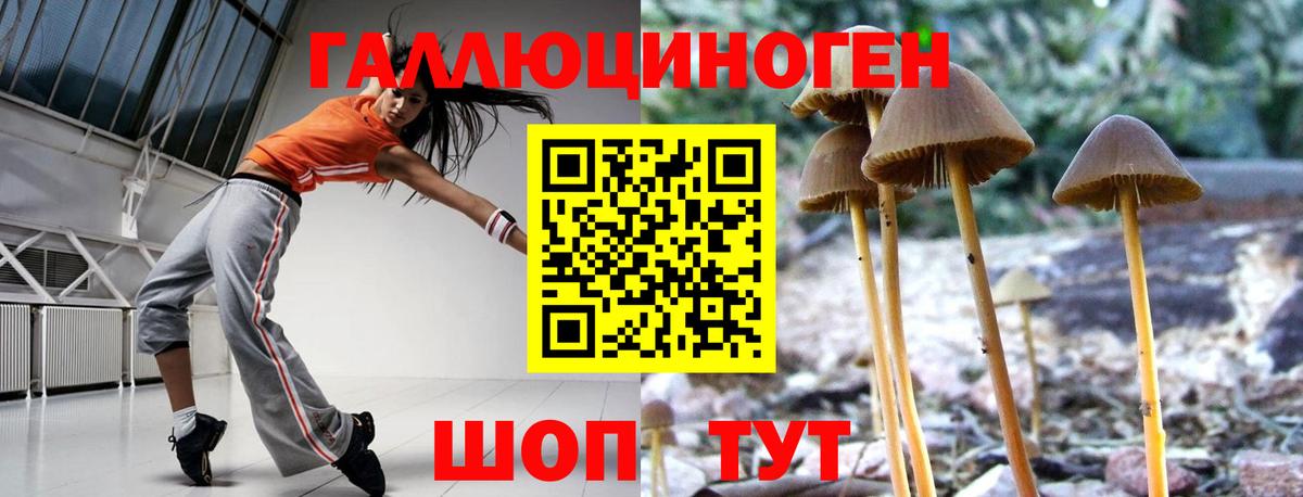 Псилоцибиновые грибы Magic Shrooms Похвистнево