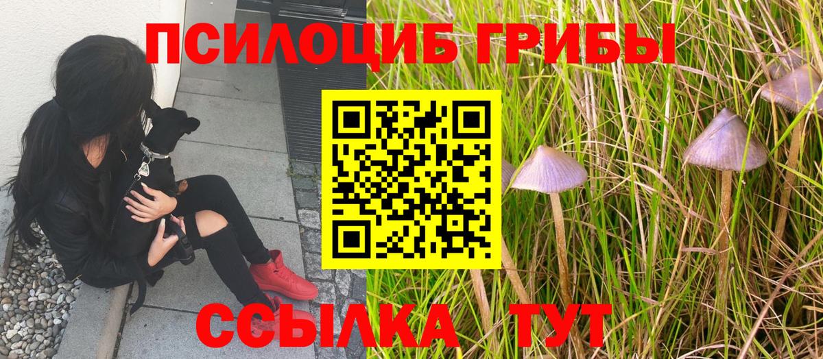 Похвистнево  Галлюциногенные грибы Psilocybe  где купить наркотик  Вход с VPN  Галлюциногенные грибы MAGIC MUSHROOMS 